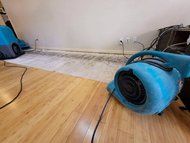 Professional Structural Drying technician working in Seymour, WI